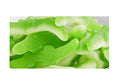 BKRY BKRY Gummy Crocodiles Candy 1 lb - 19 lbs Bulk Soft Chewy Fruity Crocodile Shaped Gummies for Candy Buffets Party Favors Safari Theme Events Snacking and Sweet Treats (1 lb, Pack of 1 lbs)