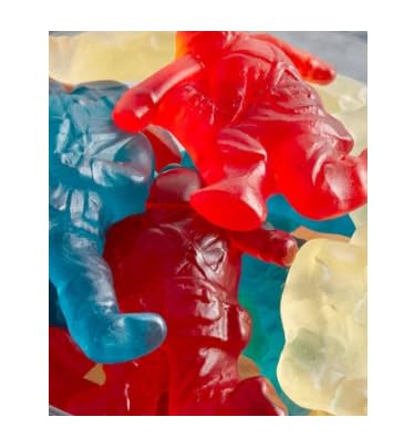 BKRY BKRY Gummi Military Heroes 4.5 lbs